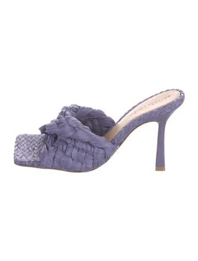 Pre-owned Bottega Veneta Raffia Slides In Purple