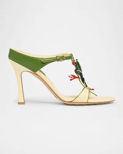 Bottega Veneta Rana Frog Embellished Leather Stiletto Mules In 7187 Camomile/avocado