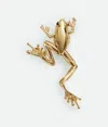 Bottega Veneta Small Frog Brooch In Yellow Gold