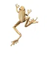 Bottega Veneta Small Frog Brooch In Yellow