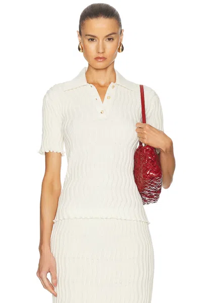 Bottega Veneta Rib Knit Polo Top In Neutral