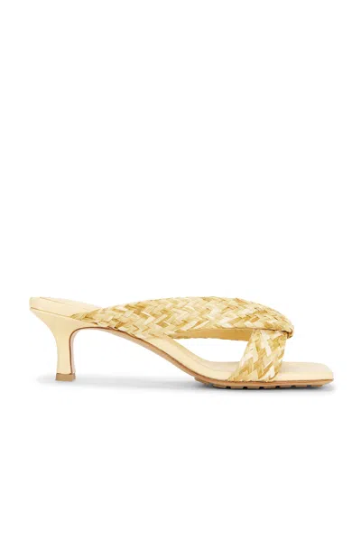 Bottega Veneta Riva Mule Sandal In Multi