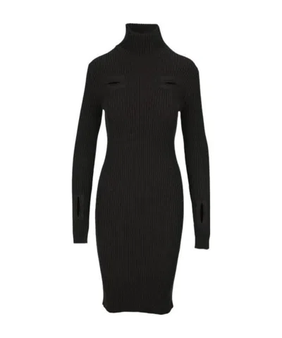 Bottega Veneta Rollneck Fitted Dress In Black