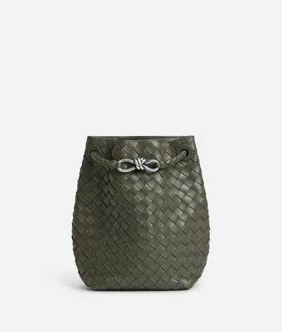 Bottega Veneta Small Andiamo Bucket In Green