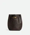 Bottega Veneta Andiamo Knot Small Leather Bucket Bag In Brown
