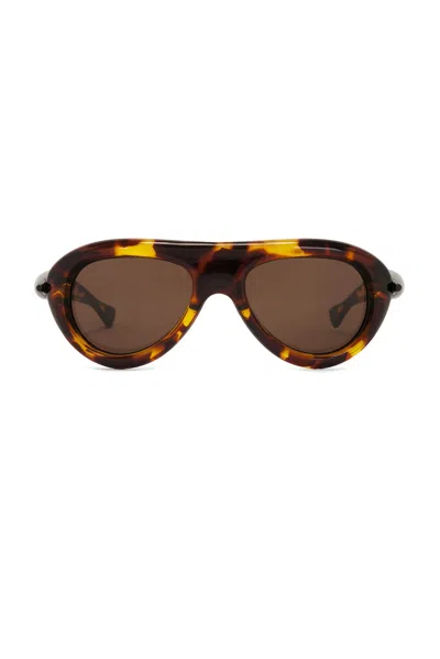 Bottega Veneta Sardine Oval Sunglasses In Havana & Brown