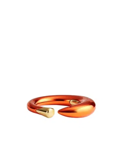 Bottega Veneta Sardine Shaped Ring In Multicolor