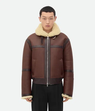 Bottega Veneta Fliegerjacke Aus Shearling In Bitter Chocolate/birch