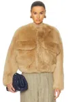 Bottega Veneta Blouson Cropped En Shearling Toscana In Teddy Bear
