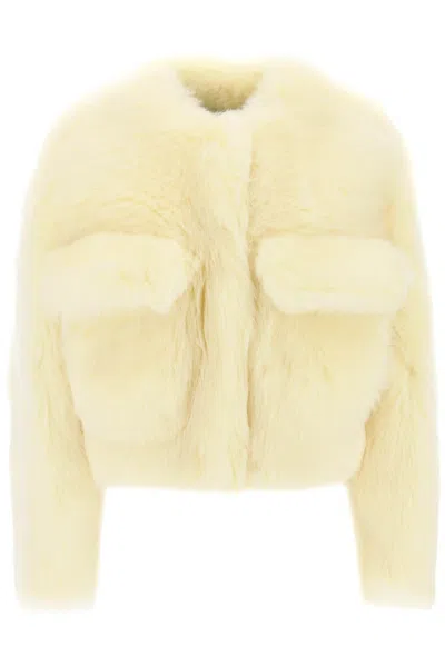 Bottega Veneta Toscana Shearling Cropped Blouson In Yellow