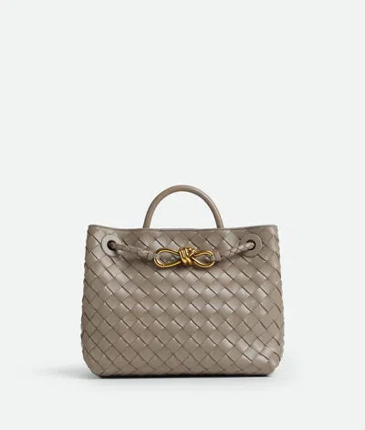 Bottega Veneta Andiamo Small Intrecciato Leather Tote In Gray