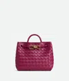 Bottega Veneta Small Andiamo Bag