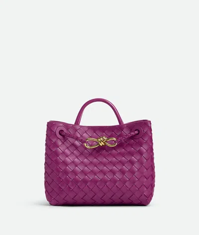 Bottega Veneta Small Andiamo In Purple