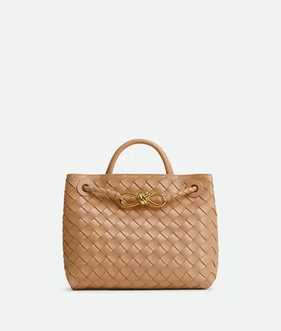 Bottega Veneta Small Andiamo In Neutral