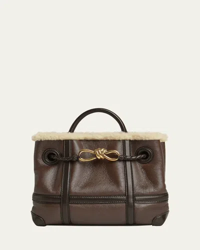Bottega Veneta Small Andiamo Aviator Shearling Tote Bag In Brown