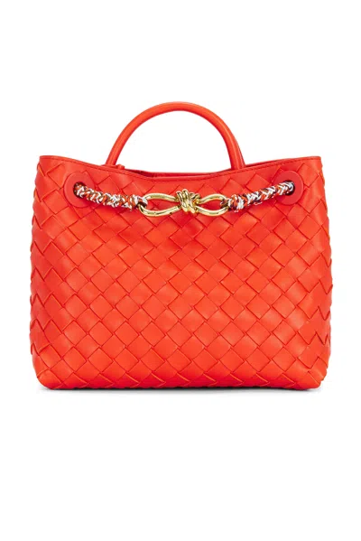 Bottega Veneta Small Andiamo Bag