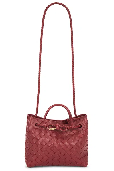 Bottega Veneta Small Andiamo Bag In Burgundy