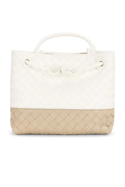 Bottega Veneta Small Andiamo Bag In Multi