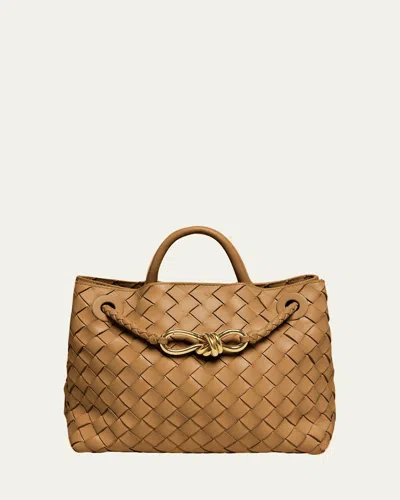 Bottega Veneta Small Andiamo Bag In Dark Praline