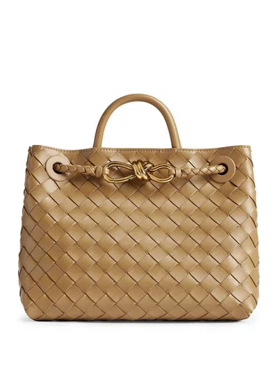 Bottega Veneta Small Leather Andiamo Shoulder Bag In Pinecone-m B-pinec