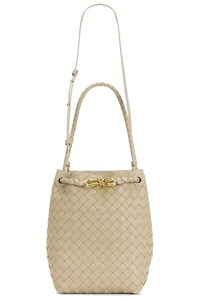 Bottega Veneta Small Andiamo Bucket Bag