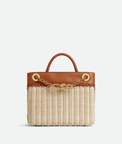 Bottega Veneta Small Andiamo Chain In Brown