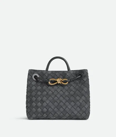 BOTTEGA VENETA SMALL ANDIAMO