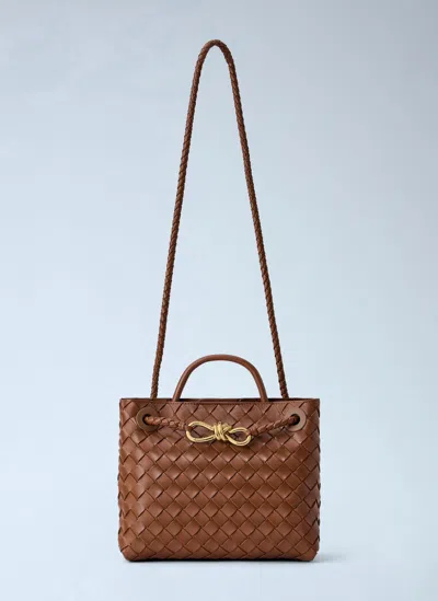 Bottega Veneta Small Andiamo Handbag In Brown