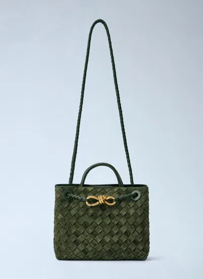 Bottega Veneta Small Andiamo Handbag In Green