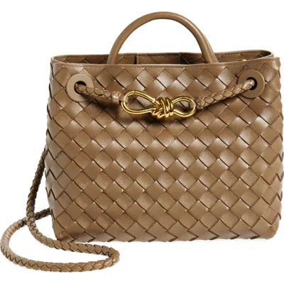 Bottega Veneta Small Leather Andiamo Shoulder Bag In Pinecone-m B-pinec