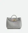 BOTTEGA VENETA SMALL ANDIAMO