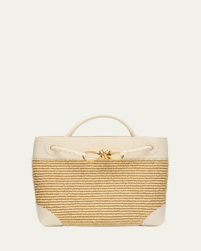 Bottega Veneta Small Andiamo Tote Bag In Natural Sea Salt