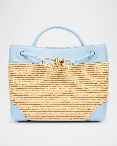 Bottega Veneta Small Andiamo Tote Bag In Neutral