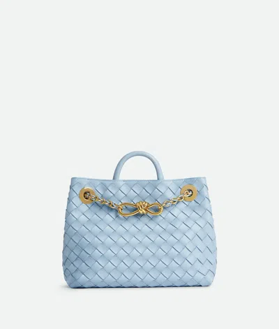 Bottega Veneta Small Andiamo With Chain In Blue