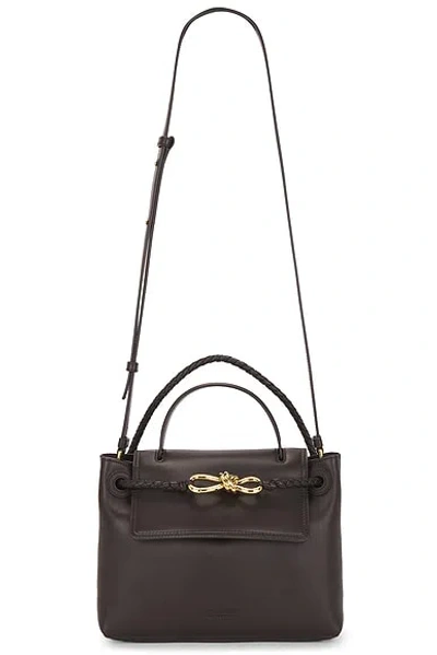 Bottega Veneta Small Ciao Ciao Bag In Brown