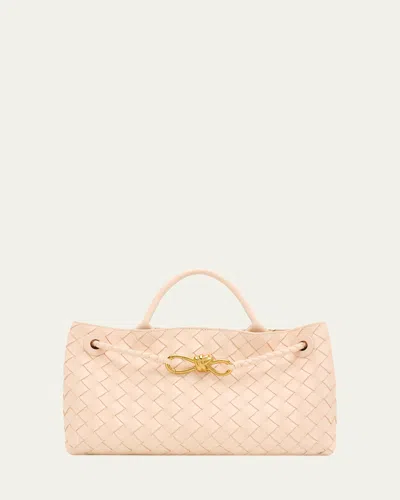 Bottega Veneta Small East-west Andiamo Bag In Multi