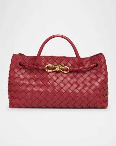 Bottega Veneta Small East-west Andiamo Bag In Rosewood
