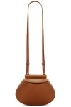 Bottega Veneta Small Fisherman Bag In Wood & Muse Brass
