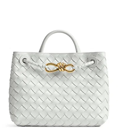 BOTTEGA VENETA BOTTEGA VENETA SMALL INTRECCIATO LEATHER ANDIAMO TOP-HANDLE BAG