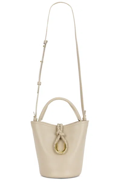 Bottega Veneta Small Liberta Bucket Bag In Neutral