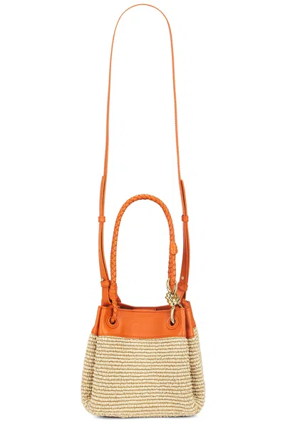 Bottega Veneta Small Parachute Raffia Bag In Natural  Burned Orange  & Muse Brass