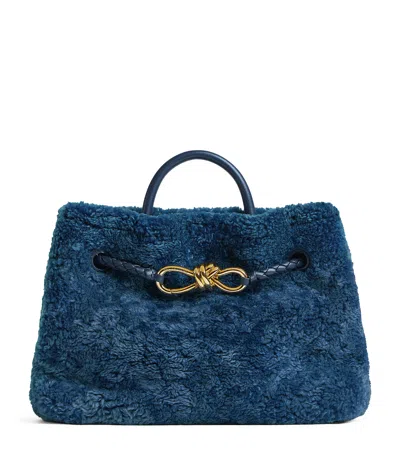 Bottega Veneta Small Shearling Andiamo Shoulder Bag In Blue