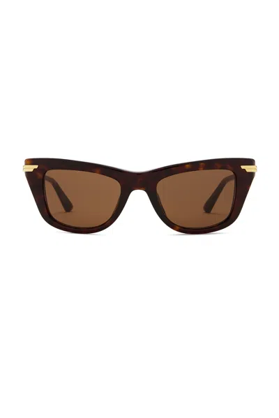 Bottega Veneta Square Sunglasses In Havana  Gold  & Brown