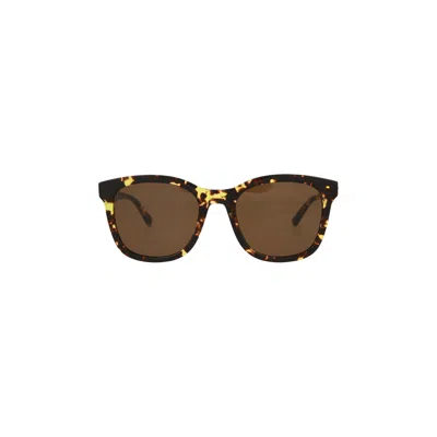 Pre-owned Bottega Veneta Square Sunglasses 'havana/brown' | Women's Size Onesize