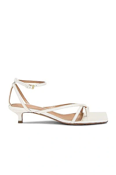 Bottega Veneta Stretch Strappy High-heeled Sandals In White