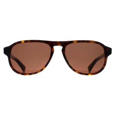 Pre-owned Bottega Veneta Sunglasses Bv1292s 002 Havana Brown