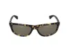 Bottega Veneta Sunglasses In Havana Havana Bronze