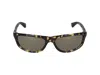 Bottega Veneta Sunglasses In Havana Havana Bronze