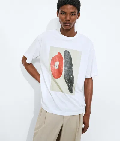 Bottega Veneta Cotton Jersey Printed T-shirt In White