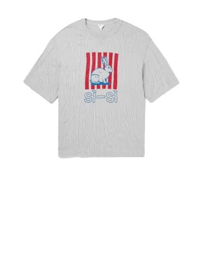 Bottega Veneta Men Grey Crewneck T-shirt With Maxi Print On The Front And Wrinkled Ffect In Cotton M In Gray